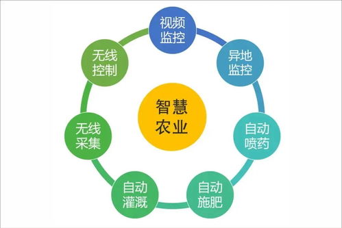 浙江新田鋪智慧農業蔬果工廠正式投產 信息系統運行維護服務開啟現代農業新篇章